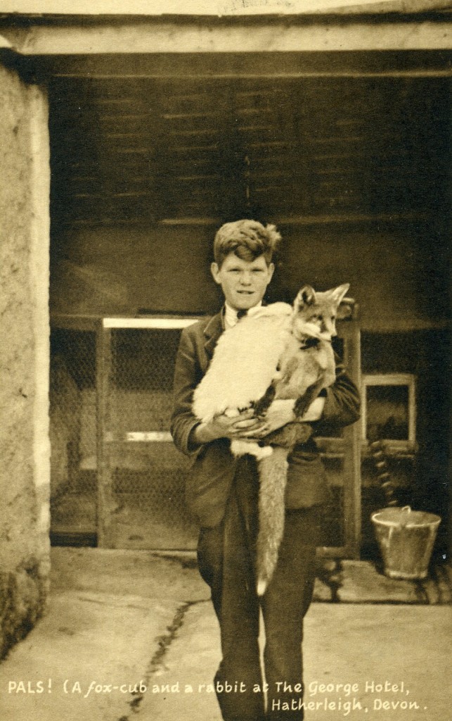 Boy with pet fox and rabbit