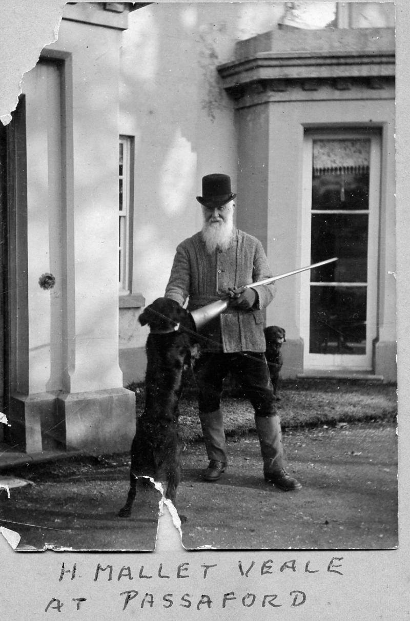 Henry Mallet Veale with dogs at Passaford House
